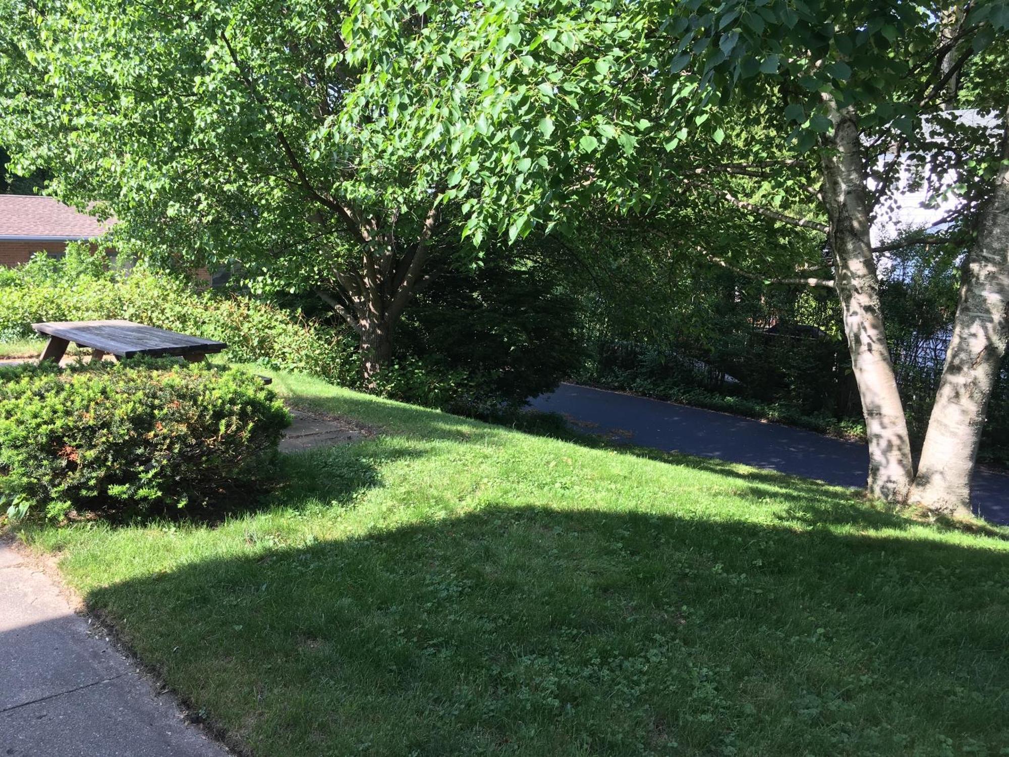 Ludington Blue Spruce Inn المظهر الخارجي الصورة