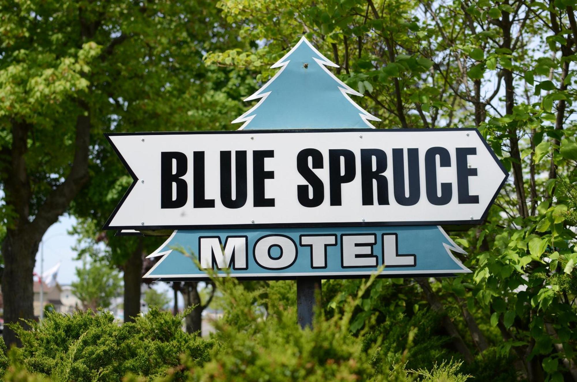 Ludington Blue Spruce Inn المظهر الخارجي الصورة